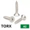  Süllyesztettfejű, TORX faforgácslap csavar A2, rozsdamentes 3,5x16